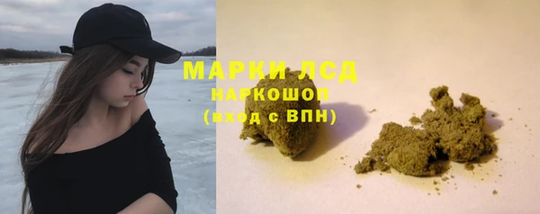 spice Алзамай