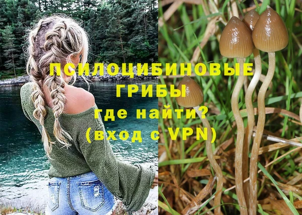 твердый Алексин