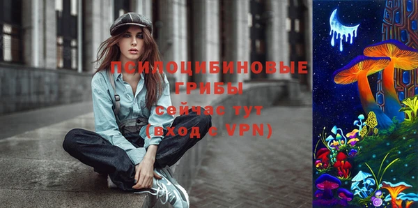 твердый Алексин