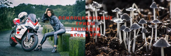 spice Алзамай