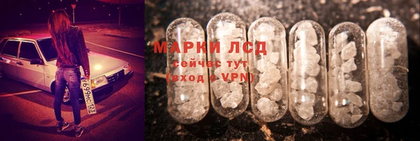 spice Алзамай