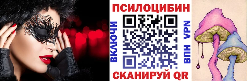 hydra вход  Малаховка  дарк нет наркотические препараты  Галлюциногенные грибы Cubensis 